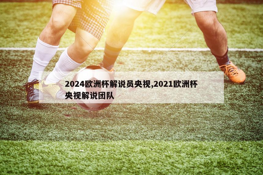 2024欧洲杯解说员央视,2021欧洲杯央视解说团队