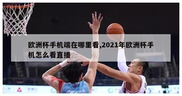 欧洲杯手机端在哪里看,2021年欧洲杯手机怎么看直播