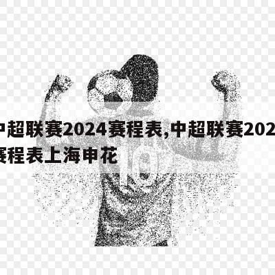 中超联赛2024赛程表,中超联赛2024赛程表上海申花