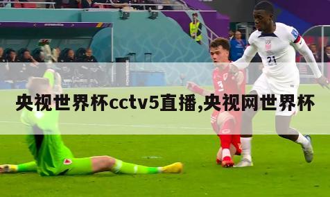 央视世界杯cctv5直播,央视网世界杯