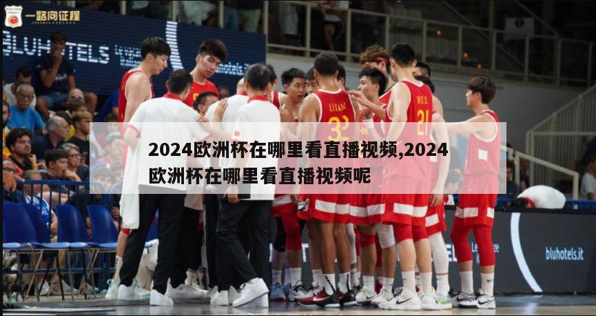 2024欧洲杯在哪里看直播视频,2024欧洲杯在哪里看直播视频呢